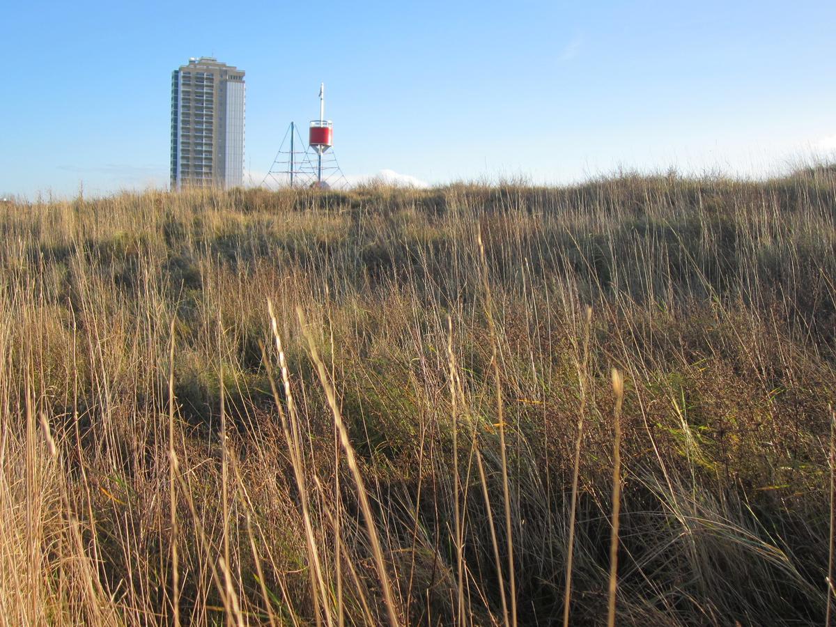 Apartmenthaus Jasmin Büsum Zewnętrze zdjęcie